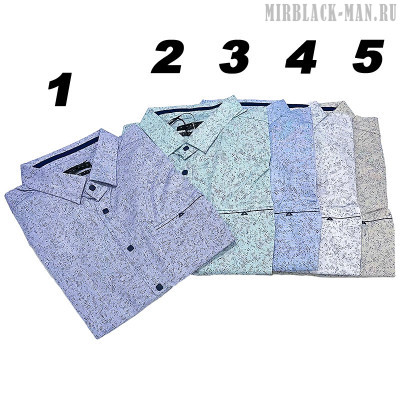 Рубашка AMATO 0477